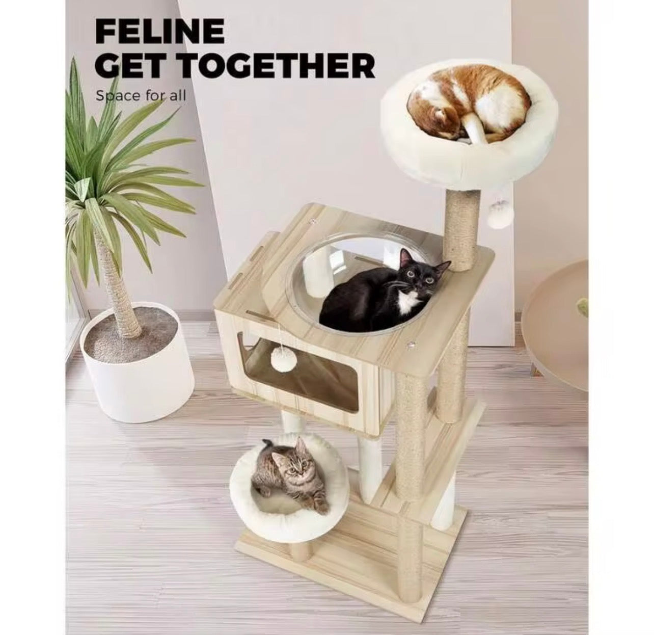 豪华太空舱猫树猫爬架